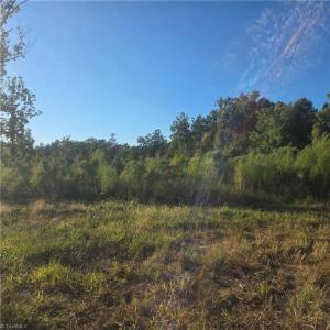 Photo #2 of 3655 Mack Lineberry, Franklinville, NC 20.8 acres