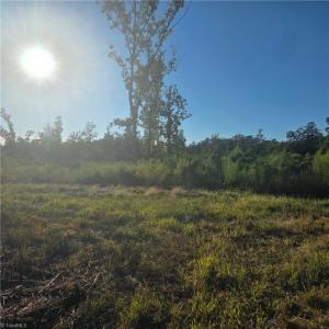 Photo #3 of 3655 Mack Lineberry, Franklinville, NC 20.8 acres
