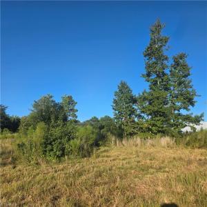 Photo #5 of 3655 Mack Lineberry, Franklinville, NC 20.8 acres