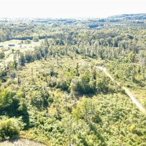 Photo #8 of 3655 Mack Lineberry, Franklinville, NC 20.8 acres