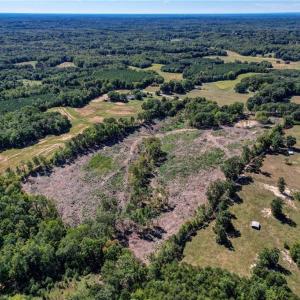 Photo #6 of Wolf Island, Reidsville, NC 13.7 acres
