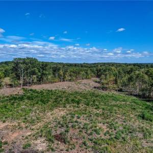 Photo #12 of Wolf Island, Reidsville, NC 13.7 acres