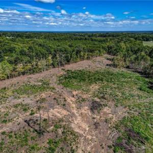 Photo #9 of Wolf Island, Reidsville, NC 13.7 acres