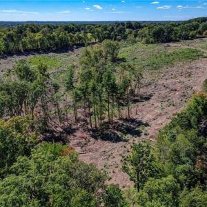 Photo #14 of Wolf Island, Reidsville, NC 13.7 acres
