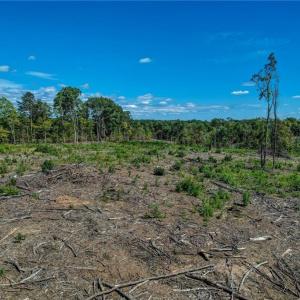Photo #11 of Wolf Island, Reidsville, NC 13.7 acres