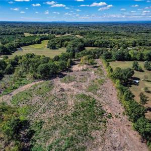 Photo #8 of Wolf Island, Reidsville, NC 13.7 acres