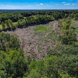 Photo #12 of Wolf Island, Reidsville, NC 11.0 acres