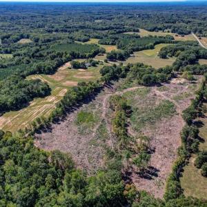 Photo #7 of Wolf Island, Reidsville, NC 11.0 acres