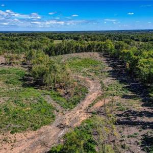 Photo #10 of Wolf Island, Reidsville, NC 11.0 acres