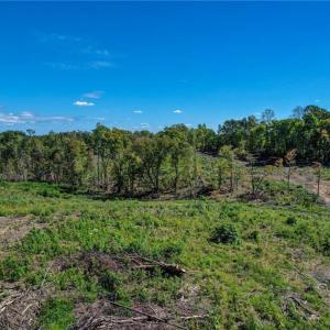 Photo #11 of Wolf Island, Reidsville, NC 11.0 acres