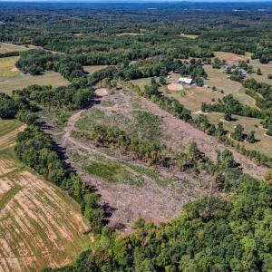 Photo #8 of Wolf Island, Reidsville, NC 11.0 acres