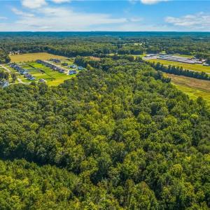 Photo #9 of Fork Bixby, Advance, NC 34.4 acres