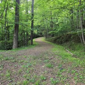 Trails throughout