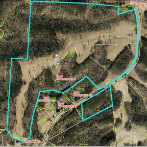 Aerial View - an approx. 3 acre tract across the road is included.