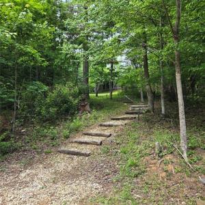 Steps to the lake
