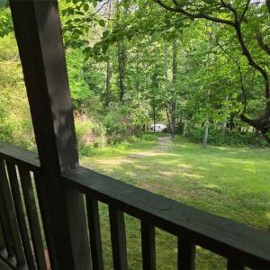 Views from the porch