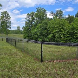 Fenced for visiting pets
