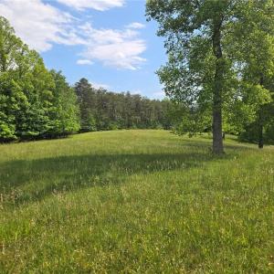 Grassy meadows