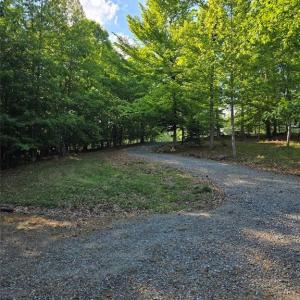 Winding road from the Main home to the guest cabin