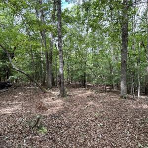 Photo #1 of 236 Sugar Loaf, Troy, NC 3.1 acres