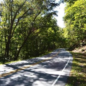 Photo #22 of 1541-1345 NC Highway 89, Danbury, NC 97.9 acres
