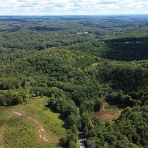Photo #3 of 1541-1345 NC Highway 89, Danbury, NC 97.9 acres