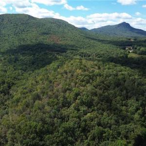 Photo #1 of 1541-1345 NC Highway 89, Danbury, NC 97.9 acres