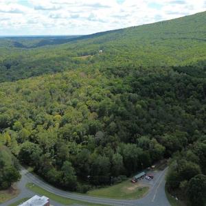 Photo #5 of 1541-1345 NC Highway 89, Danbury, NC 97.9 acres