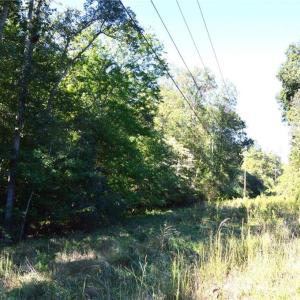 Photo #20 of 1541-1345 NC Highway 89, Danbury, NC 97.9 acres
