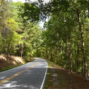 Photo #38 of 1541-1345 NC Highway 89, Danbury, NC 97.9 acres