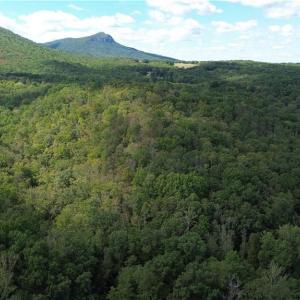 Photo #4 of 1541-1345 NC Highway 89, Danbury, NC 97.9 acres