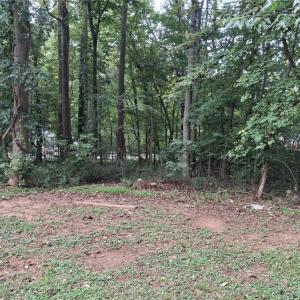 Photo #2 of Elm, Roxboro, NC 0.3 acres