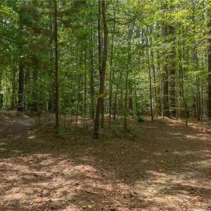 Photo #2 of 1960 Wilson, Linwood, NC 67.1 acres