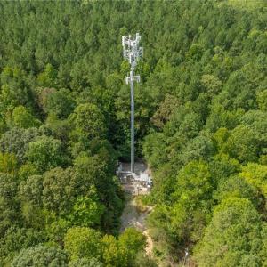 Photo #6 of 1960 Wilson, Linwood, NC 67.1 acres