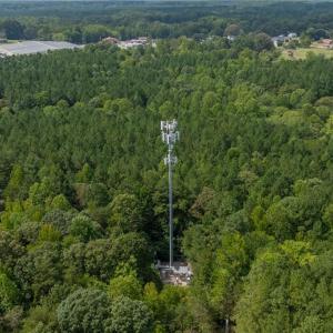 Photo #5 of 1960 Wilson, Linwood, NC 67.1 acres