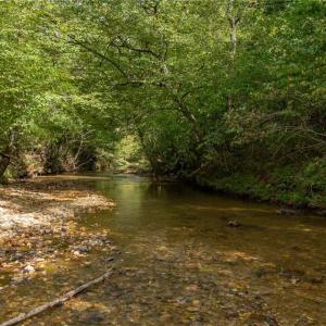 Approximately 4,000 feet of creek frontage to Pinch Gut Creek.