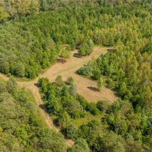 Numerous ATV trails throughout the property