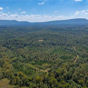Photo #3 of Wright, Westfield, NC 136.4 acres