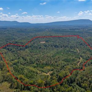 136 plus acres of vacant land with mountain views, ATV trails, wildlife, max elevations up to 1,100 feet, and approx. 4,000 feet of creek frontage to Pinch Gut Creek.  30 ft. Easement off Wright Road to top of knoll.