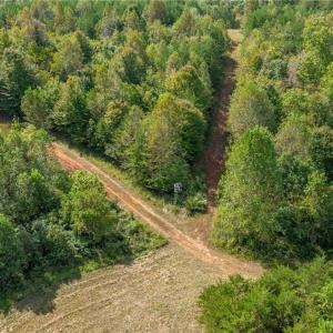 Photo #9 of Wright, Westfield, NC 136.4 acres