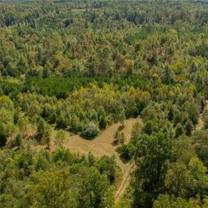 Old working farmland with a blend of mixed hardwoods, elevated ridges, and plenty of lower bottom land that is an ideal natural ecosystem for game.  Property is in the Forestry Present Use Tax Deferment program.