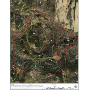 Photo #23 of Wright, Westfield, NC 136.4 acres
