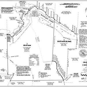 Photo #24 of Wright, Westfield, NC 136.4 acres