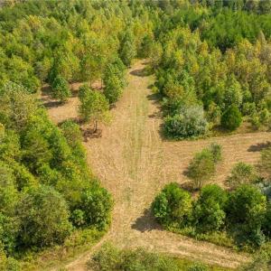 Photo #10 of Wright, Westfield, NC 136.4 acres