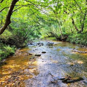 Photo #18 of Wright, Westfield, NC 136.4 acres