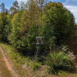 Prime hunting land, secluded acreage with abundant wildlife including deer, turkey and black bear.