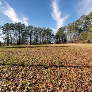 Photo #10 of Bethabara, Winston-Salem, NC 0.7 acres