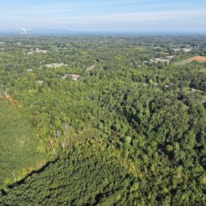 Photo #2 of 7809 Thomas, Stokesdale, NC 26.0 acres