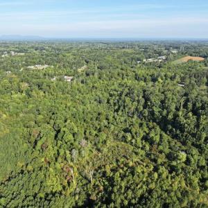 Photo #6 of 7809 Thomas, Stokesdale, NC 26.0 acres