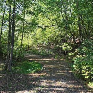 Photo #13 of 7809 Thomas, Stokesdale, NC 26.0 acres